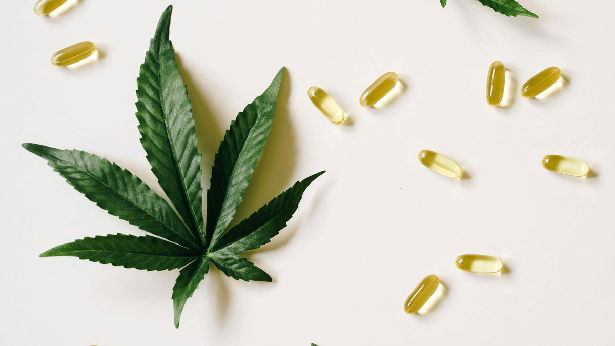 Cannabis Immune System Nine Realms
