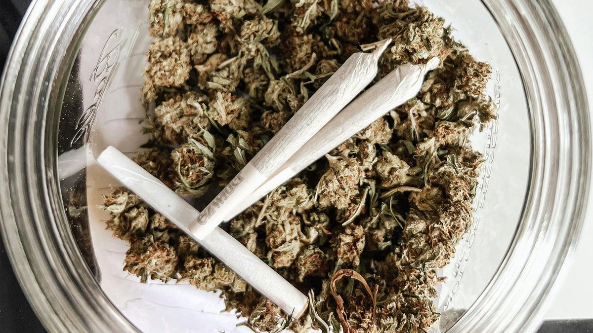 Cannabis Storage Nine Realms