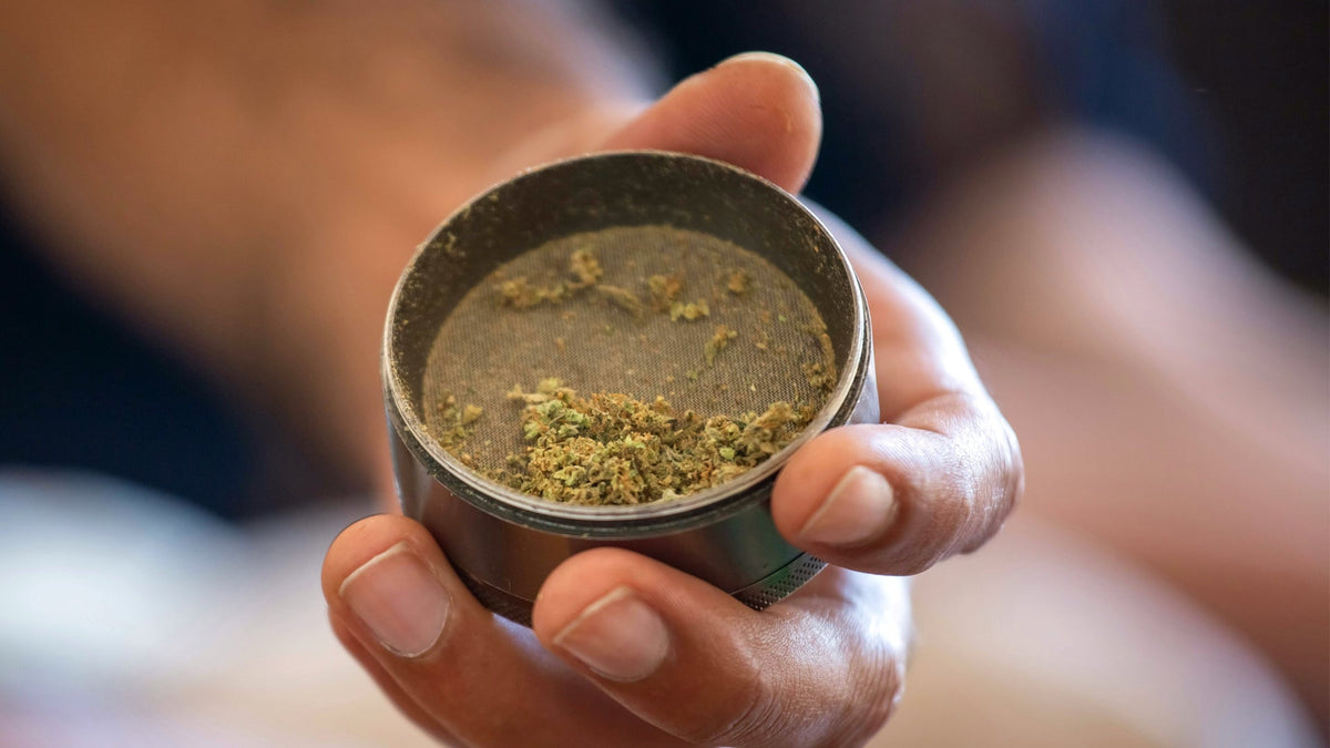 Man Holding Nine Realms Cannabis Kief