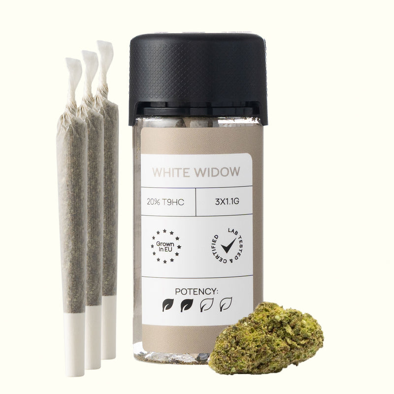LIGHT PRE-ROLLS