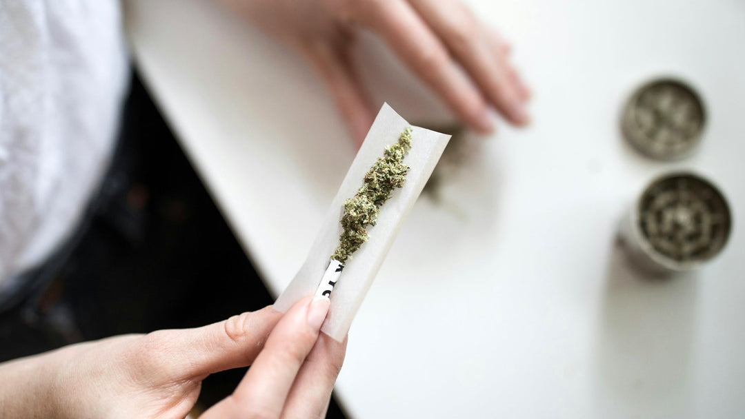 Woman Rolling a Nine Realmc HHC Pre-Roll Joint