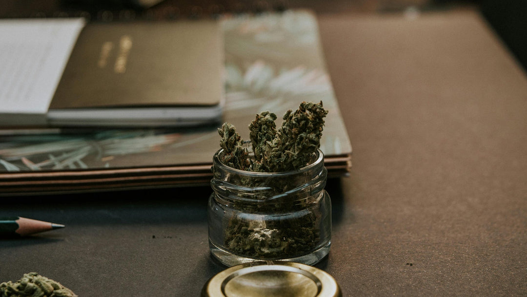 10-OH-HHC vs. THC: Unterschiede, Stärke und Rechtslage in Deutschland