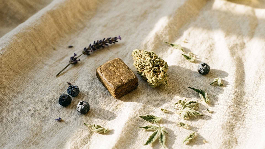 Blue Magic Hash: Origin, Effects, and Growing Demand