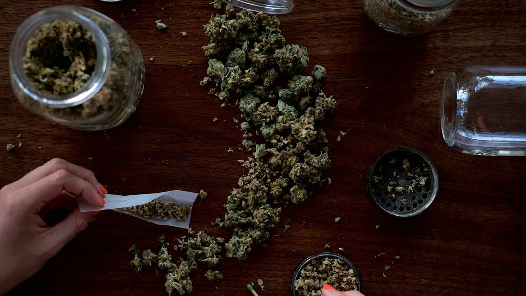 How CBG Interacts with THC and CBD: Explained