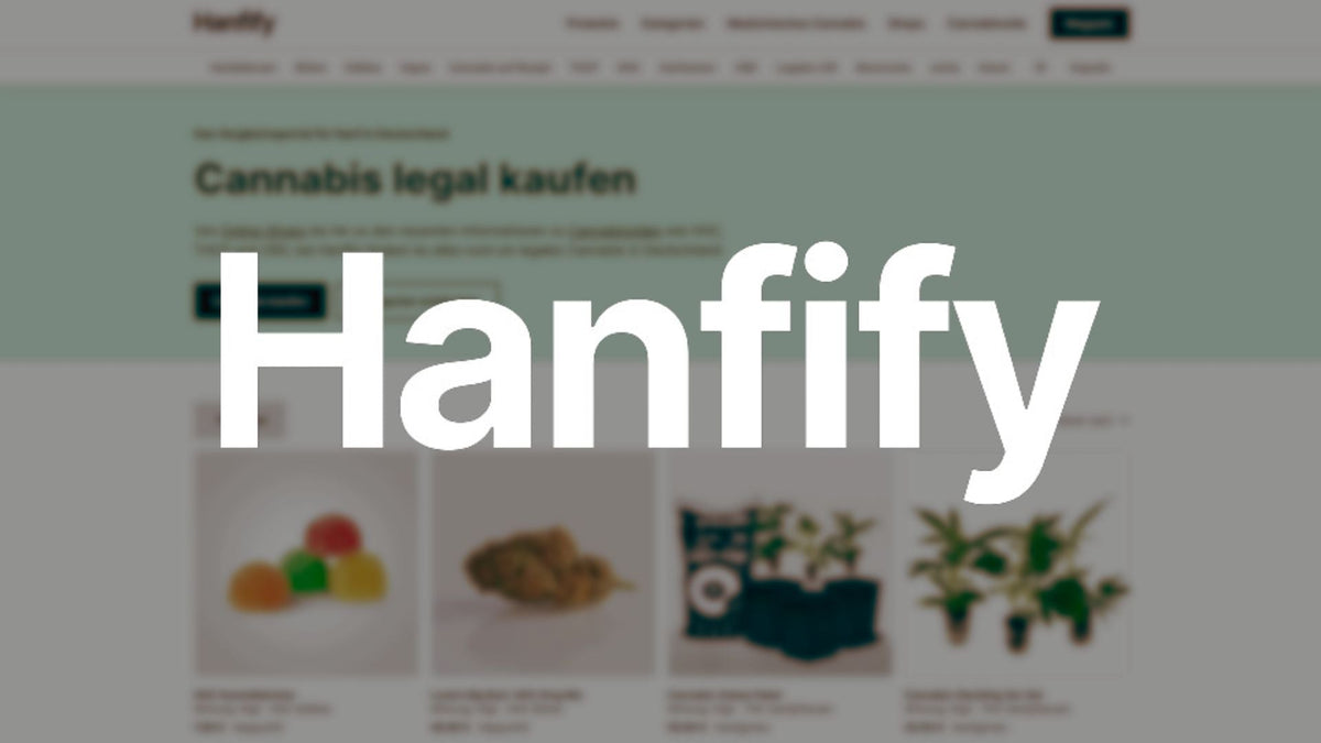 Hanfify Logo with a website
