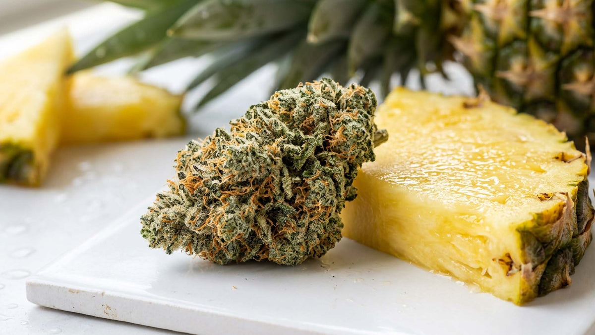 Pineapple Express strain: frosty cannabis bud with orange pistils beside a juicy fresh pineapple slice | Nine Realms