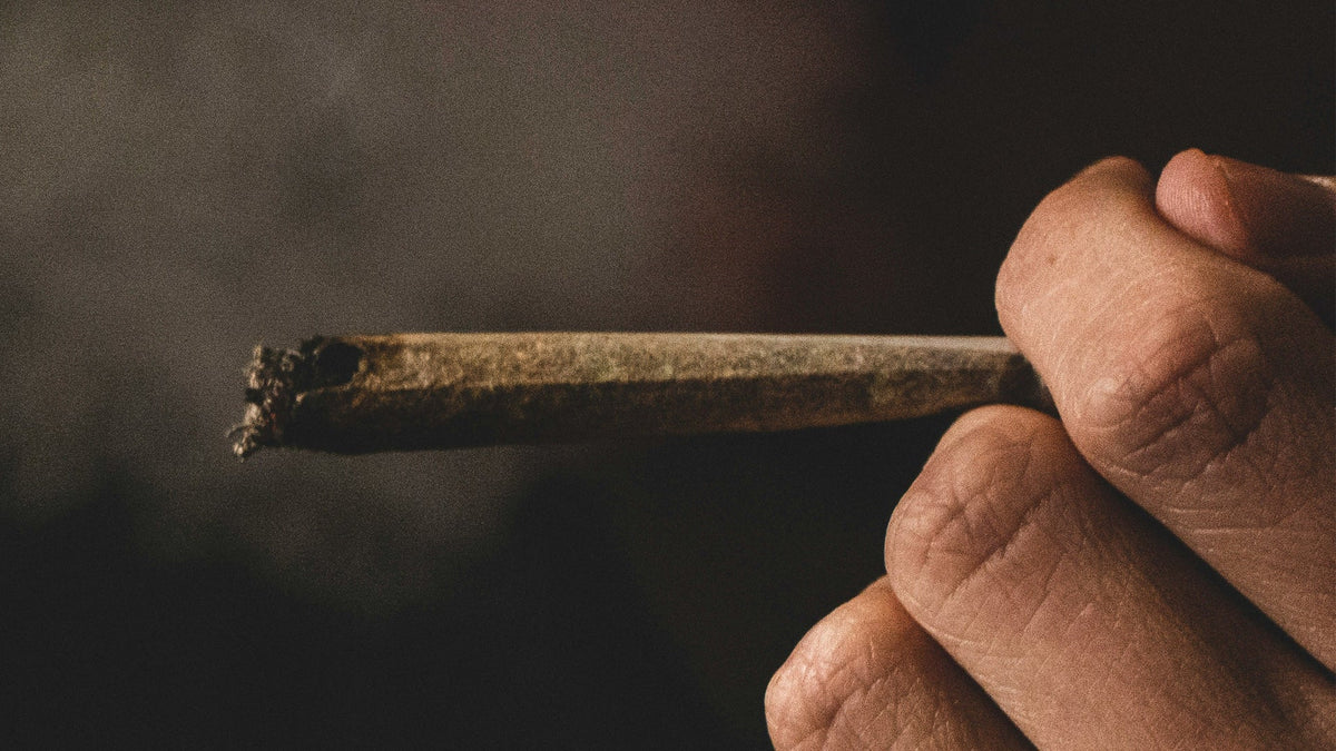 Man holding Nine Realms Cannabis Pre-Roll