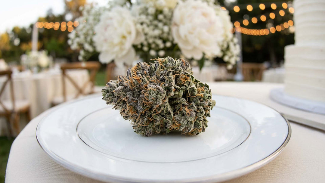Wedding Cake Sorte: Wirkung & Aromen - der vollständige Leitfaden