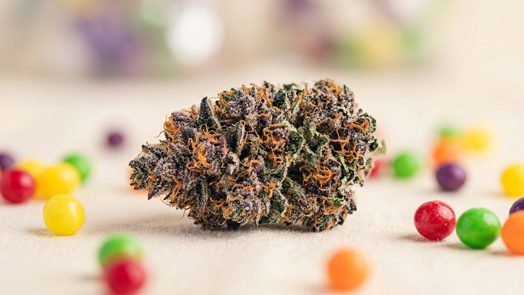 Zkittlez-Sorte: Wirkung, Geschmack und die Phänotyp-Familie