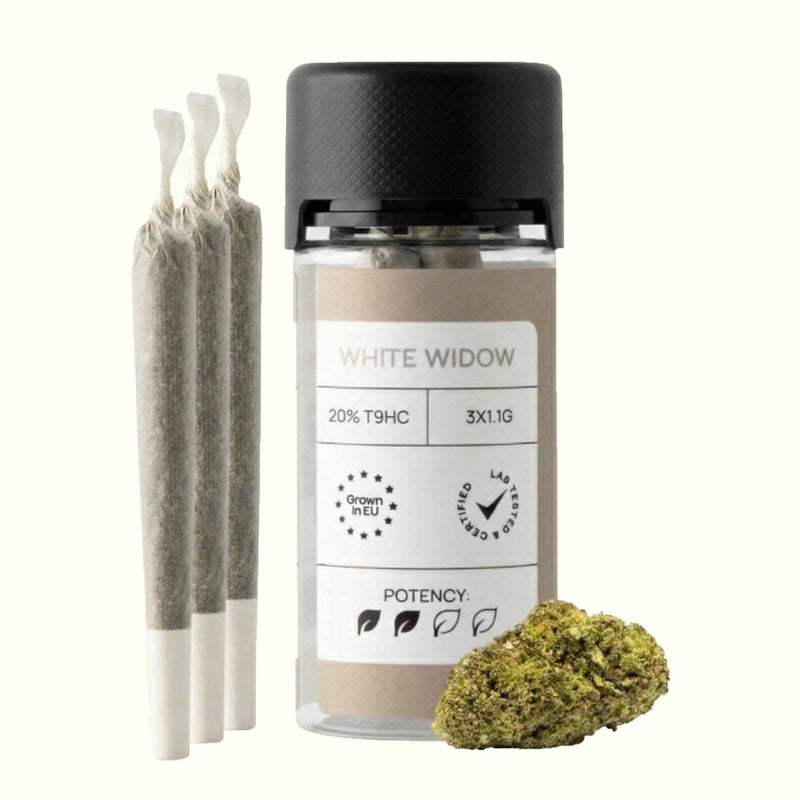LIGHT PRE-ROLLS