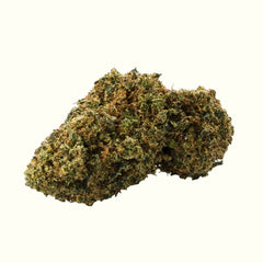 Nine Realms Gelato T9HC cannabis flower bud close-up