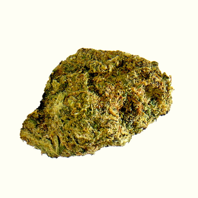Nine Realms Girl Scout Cookies (GSC) T9HC cannabis flower bud close-up