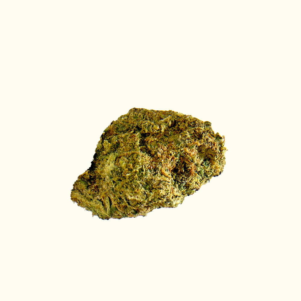 Girl Scout Cookies (GSC) cannabis bud, T9HC flower by Nine Realms