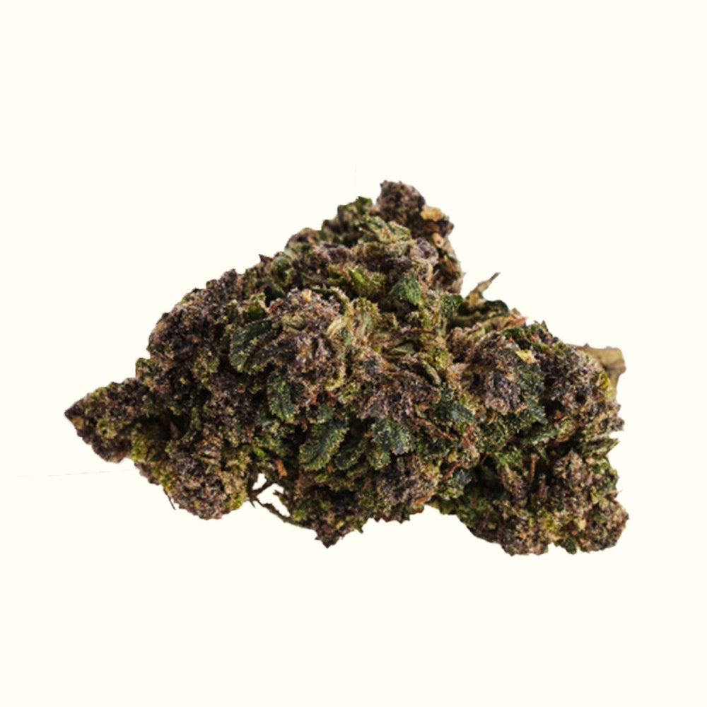 Nine Realms Purple Haze T9HC cannabis flower bud close-up