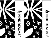Nine Realms LIGHT Vape THCP unboxing