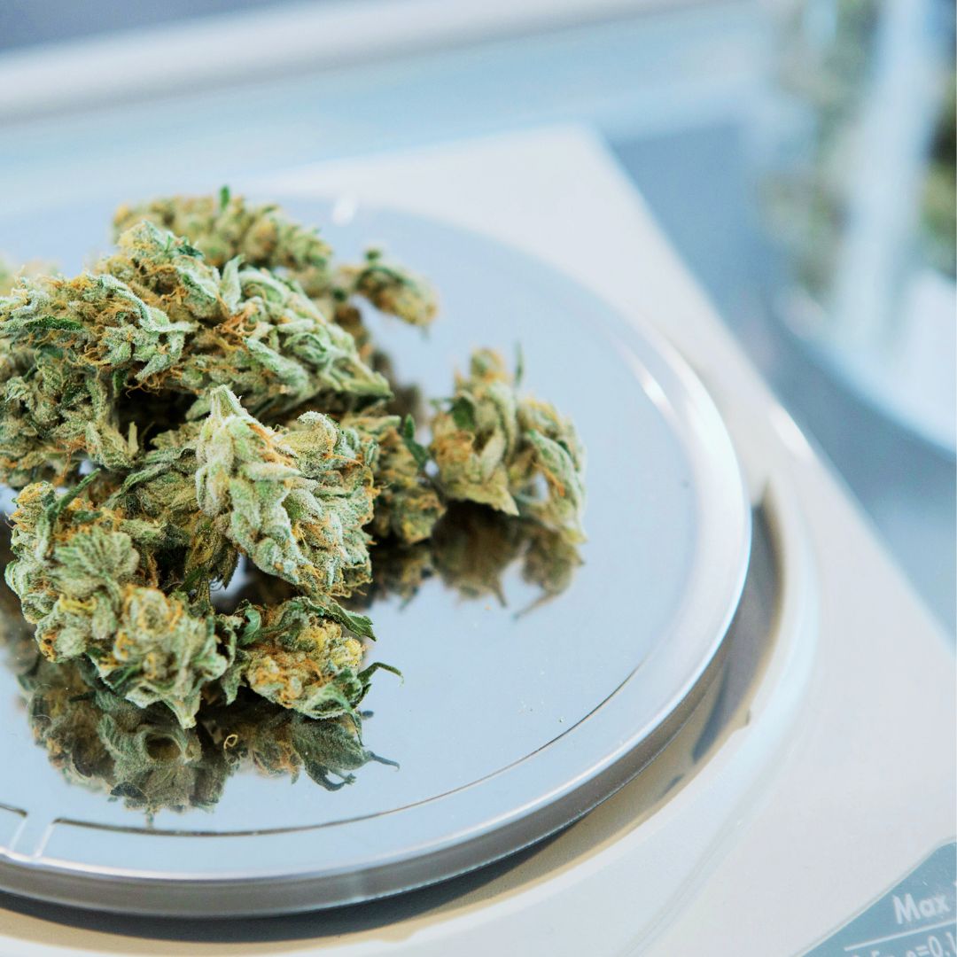 Nine Realms THCp cannabis flower on the metal scales
