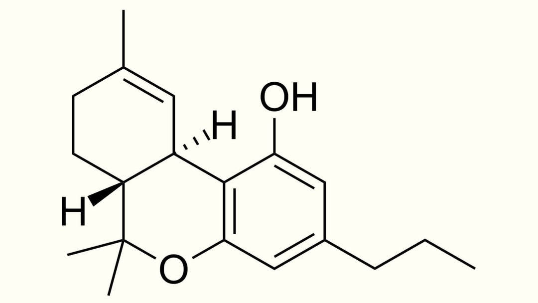THCV Molecule